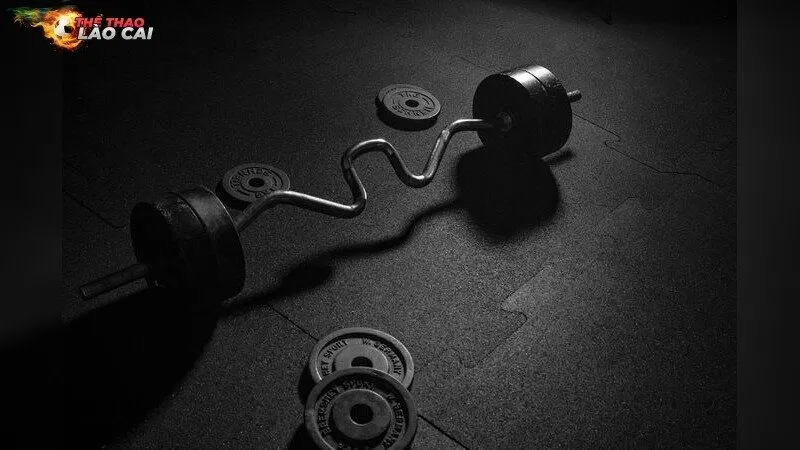 Chiến Thuật Phục Hồi Sau Chấn Thương