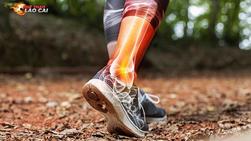 Nguyên nhân chủ yếu của chấn thương cơ xương khớp