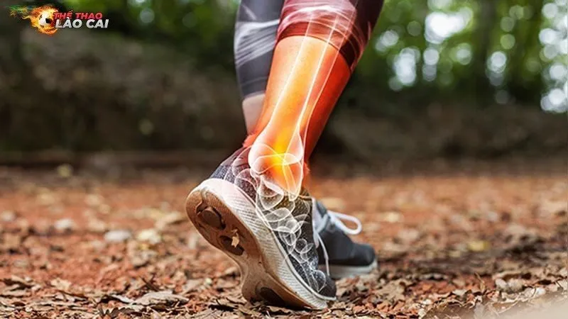 Nguyên nhân chủ yếu của chấn thương cơ xương khớp