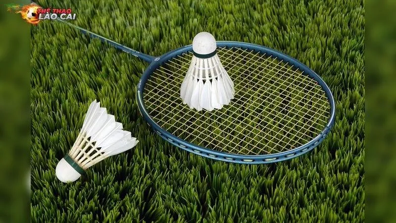 Nguyên nhân gây chấn thương cổ tay khi chơi cầu lông