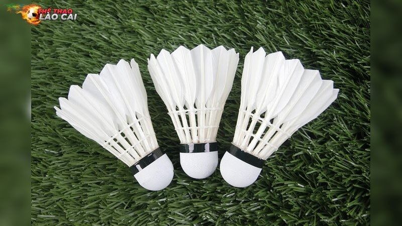 Nguyên nhân gây viêm gân Achilles