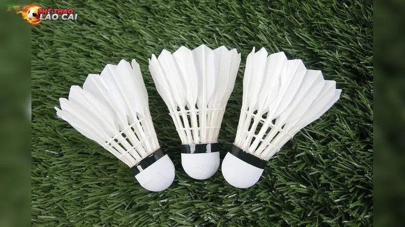 Nguyên nhân gây viêm gân Achilles