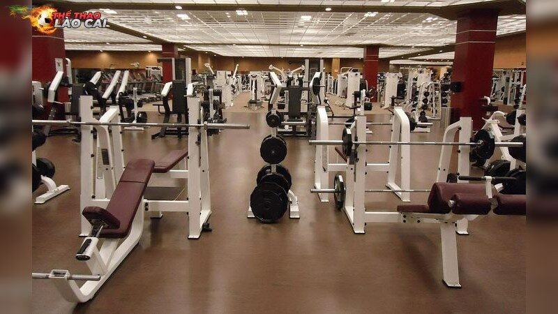 Phương Pháp Tập Luyện An Toàn